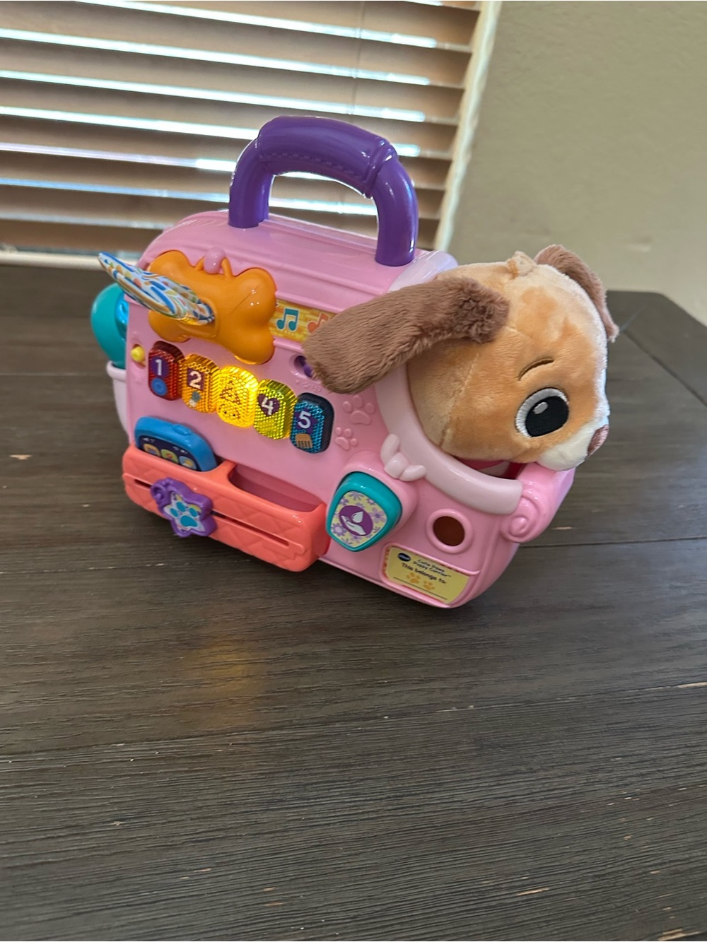 VTech Cutie Paws Puppy Carrier Plush, Plastic with Accessories